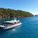 A catamaran floats near a forested shore near a chain of islands